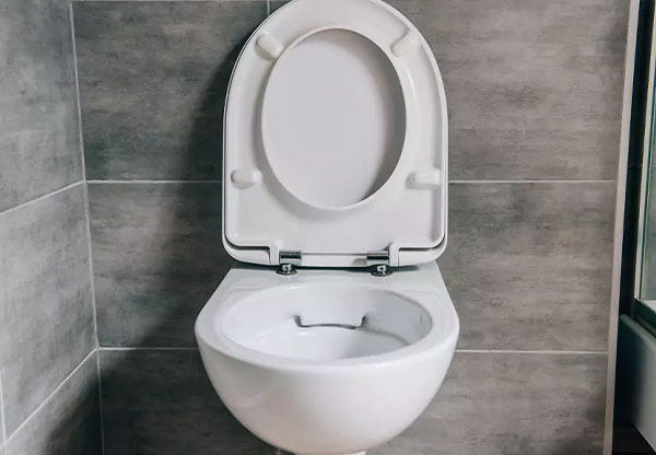 rohrreiniger-wc-toilette
