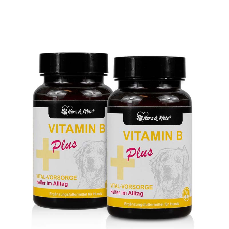 vitamin-b-komplex-hunde-2