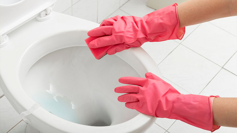 WC reinigen ohne Schrubben – mit PastaClean WC-Pulver gegen Geruch & Kalk