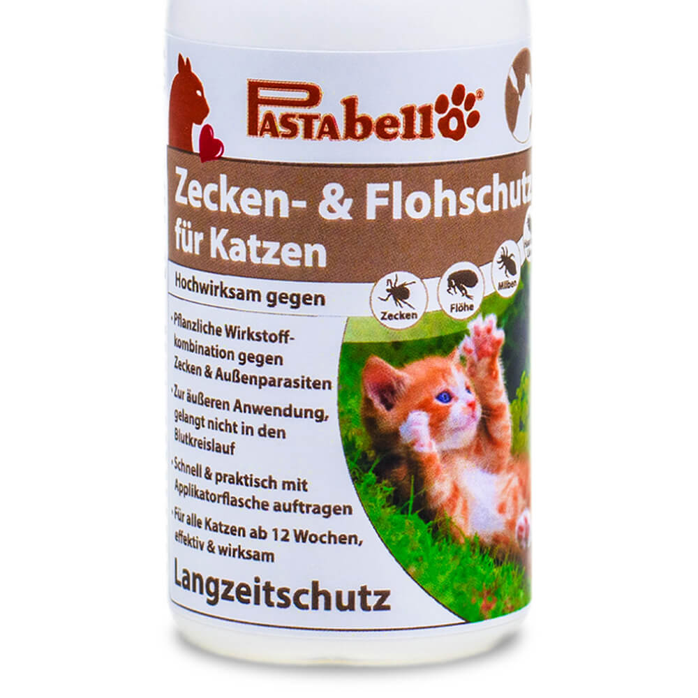 flohschutz-katze-2