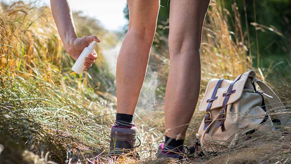 Effektiver Hautschutz gegen Zecken & Mücken für Outdoor-Aktivitäten