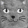 farbe-katze-grau