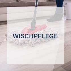 kategorie-wischpflege