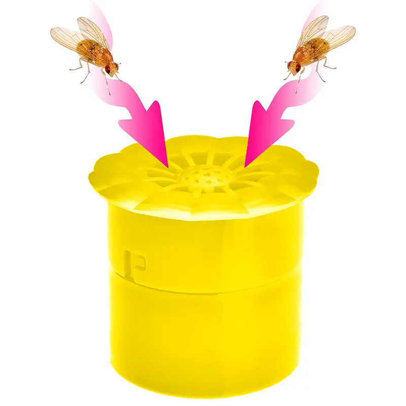 Fruchtfliegenfalle - Effektive Obstfliegenfalle ohne Gift, 4 Stück