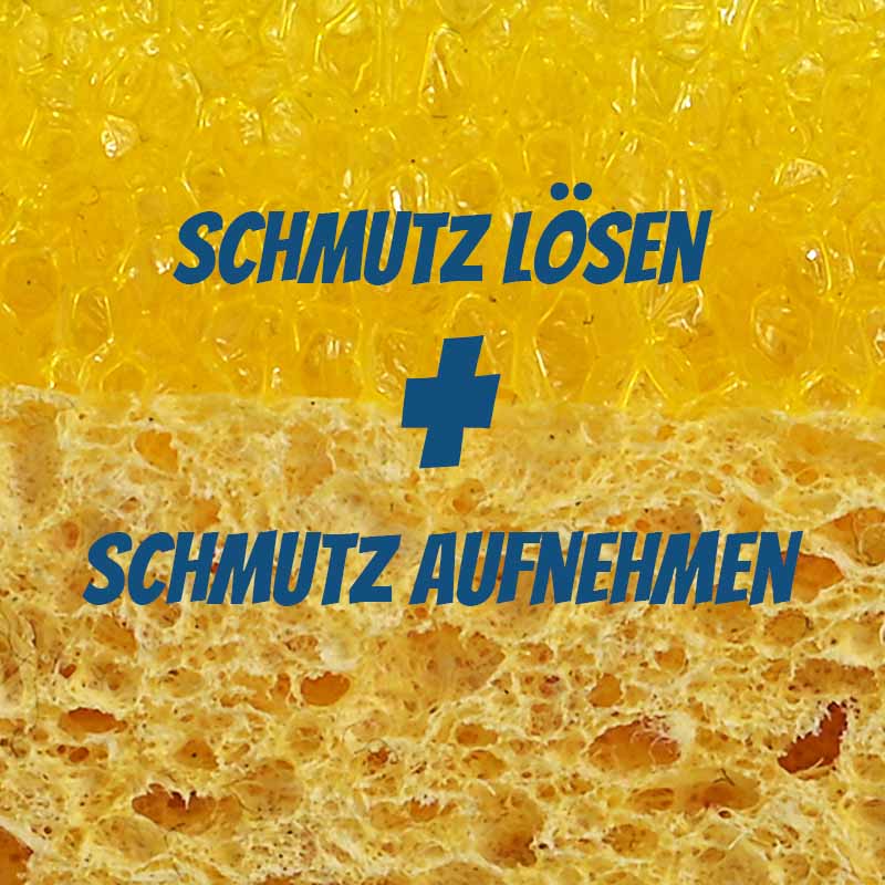 Polsterschwamm Detail Polsterschwamm Detail