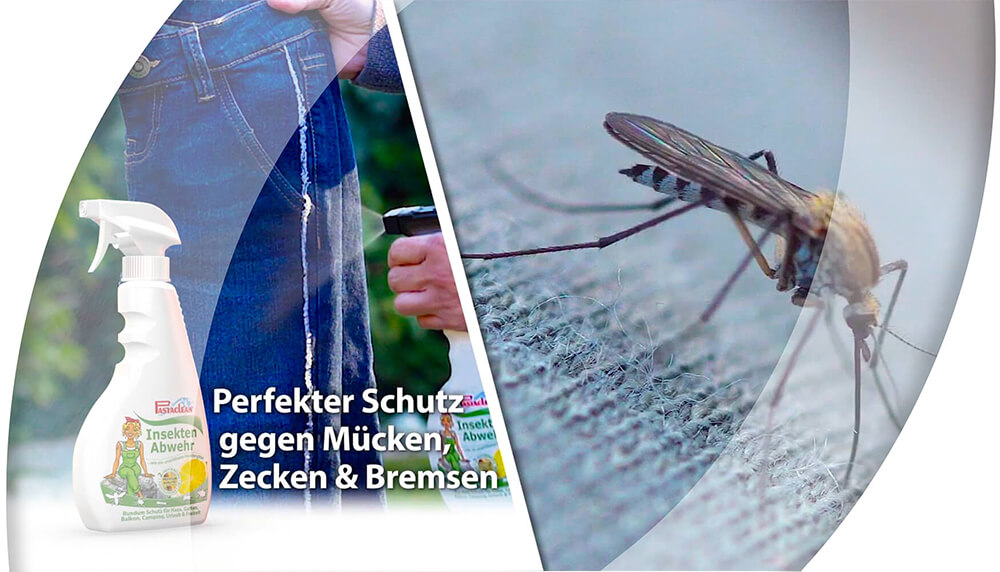 insektenschutz-insektenabwehr