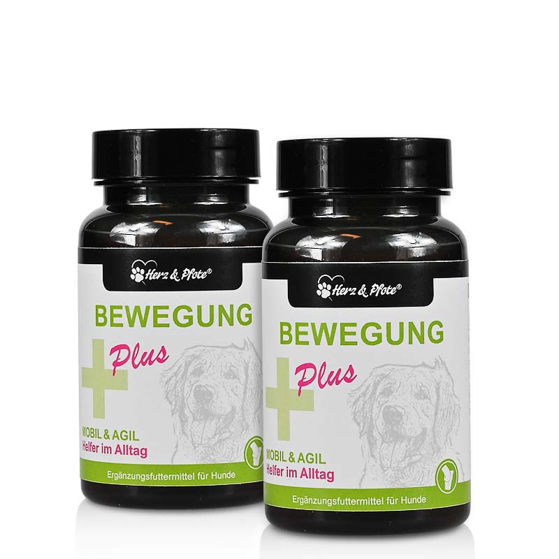 bewegung-hunde-nahrungsergaenzung